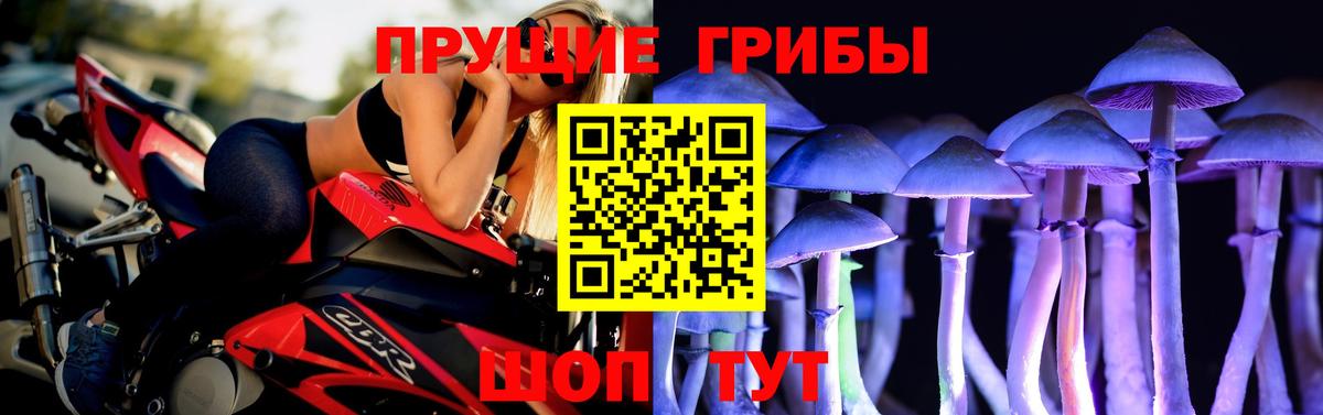 Псилоцибиновые грибы прущие грибы  Галлюциногенные грибы мухоморы  Батайск  купить наркотики цена  Вход с VPN 